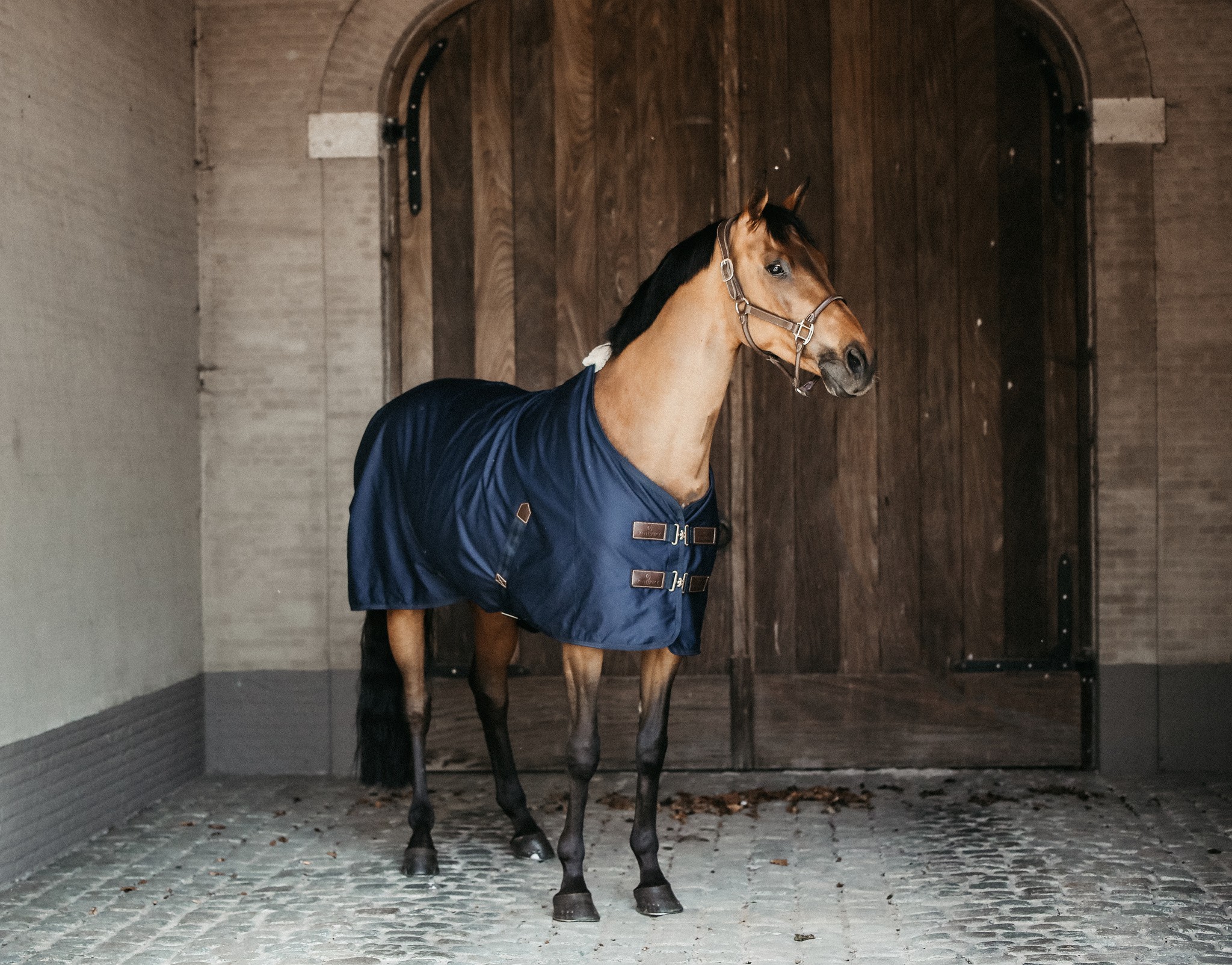 Cotton Sheet keeps your horse comfortable during summer or transport. Cotton Sheet keeps your horse comfortable during summer or transport.