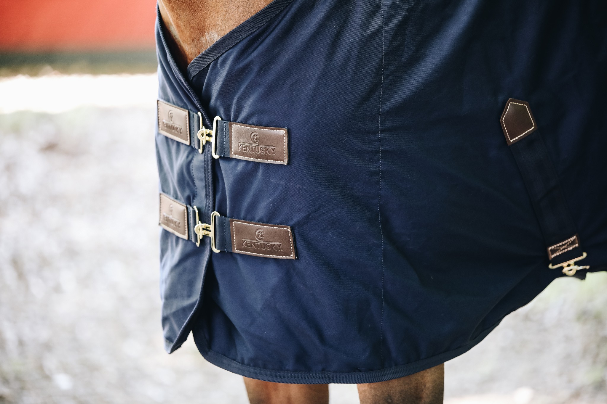 Cotton Sheet keeps your horse comfortable during summer or transport. Cotton Sheet keeps your horse comfortable during summer or transport.