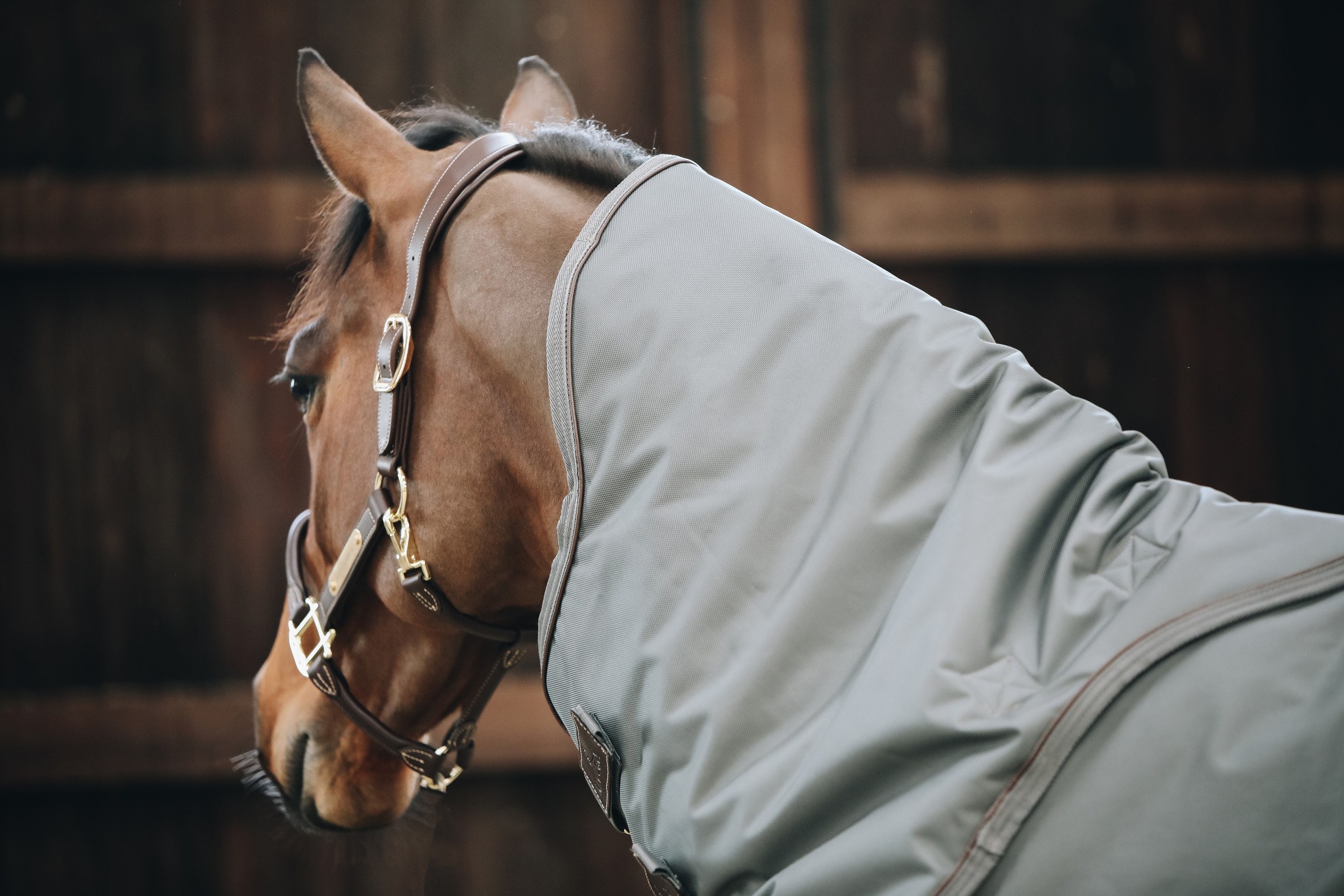 Kentucky Horsewear Neck All Weather 150GR. 1680D high tenacity polyester Kentucky Horsewear Neck All Weather 150GR. 1680D high tenacity polyester