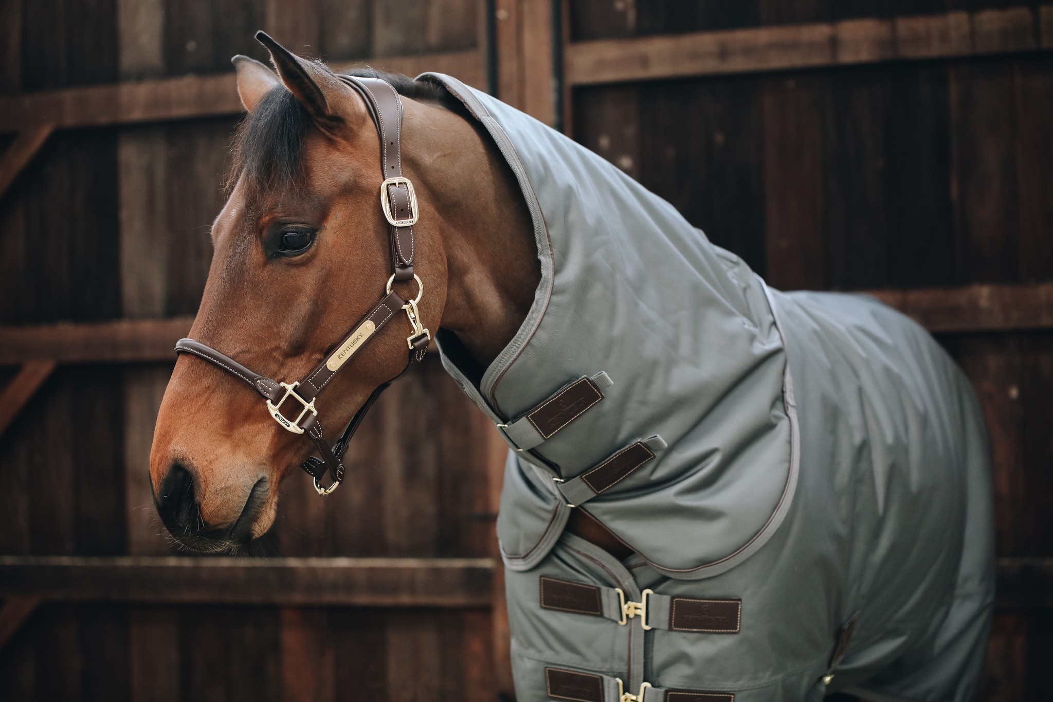 Kentucky Horsewear Neck All Weather 150GR. 1680D high tenacity polyester Kentucky Horsewear Neck All Weather 150GR. 1680D high tenacity polyester
