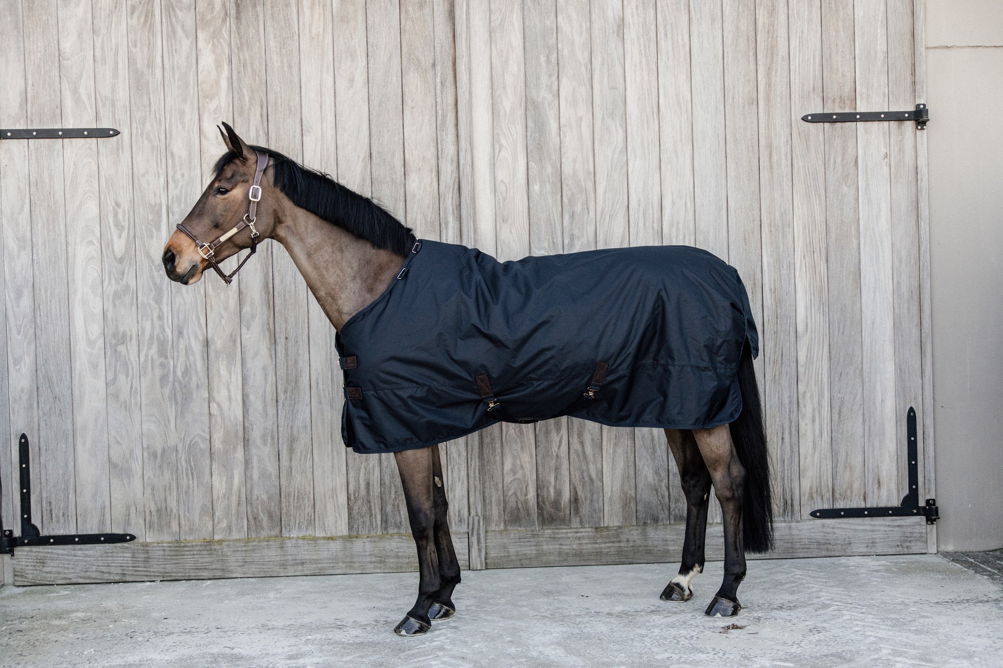 Kentucky Horsewear Turnout Rug All Weather Classic 50GR Kentucky Horsewear Turnout Rug All Weather Classic 50GR