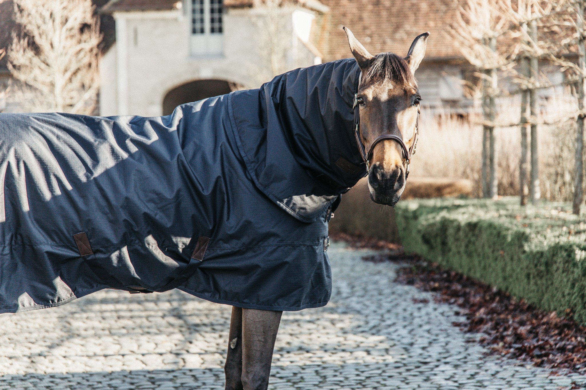Kentucky Horsewear Turnout Rug All Weather Classic 150GR Kentucky Horsewear Turnout Rug All Weather Classic 150GR