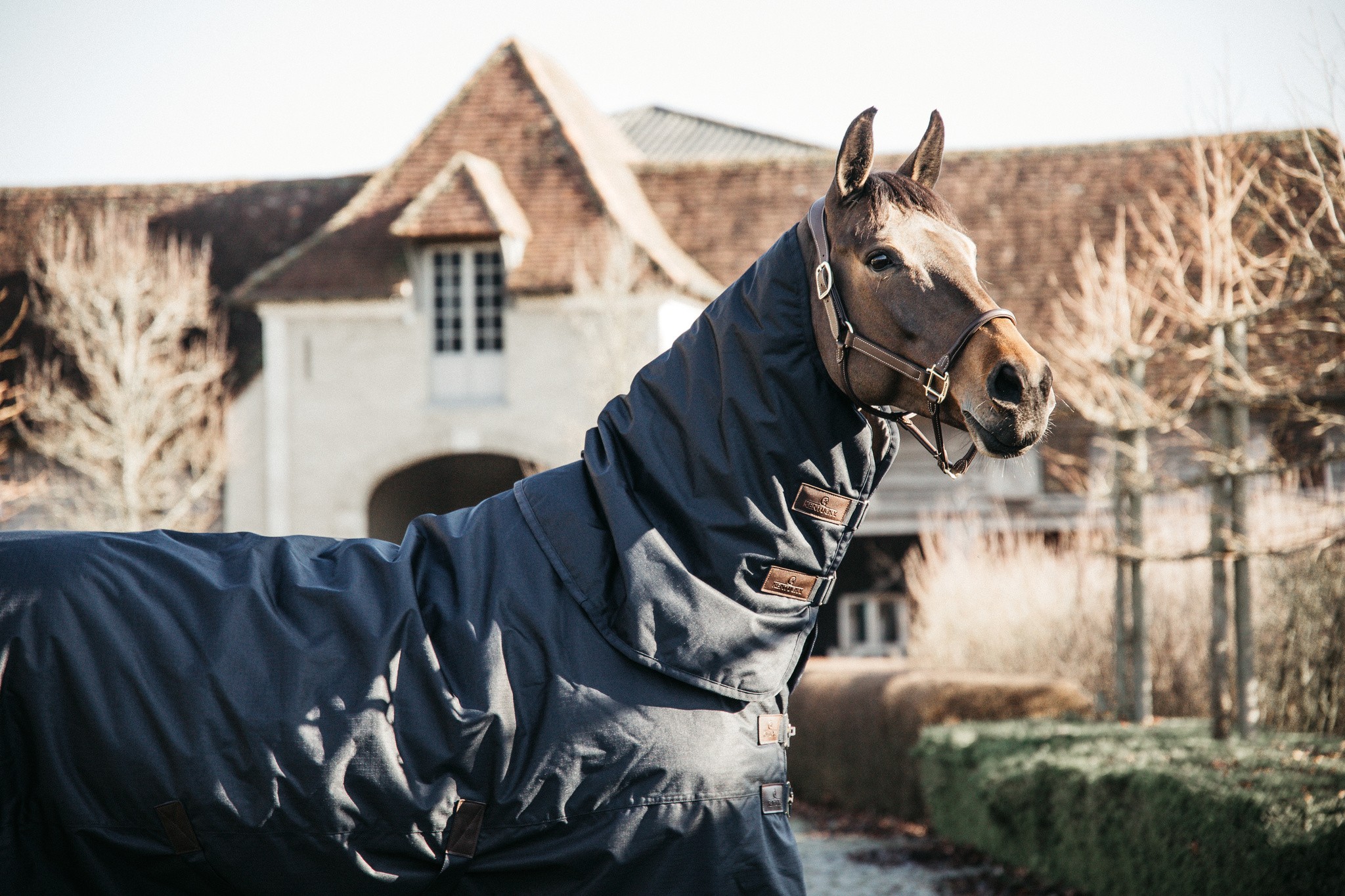 Kentucky Horsewear Neck Outdoor 0GR Navy Kentucky Horsewear Neck Outdoor 0GR Navy