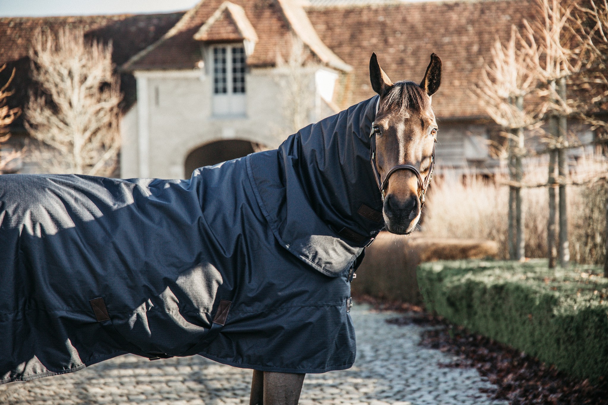Kentucky Horsewear Neck Outdoor 0GR Navy Kentucky Horsewear Neck Outdoor 0GR Navy