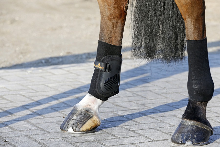 Kentucky Tendon Grip Gel Kous Kentucky Tendon Grip Gel Kous