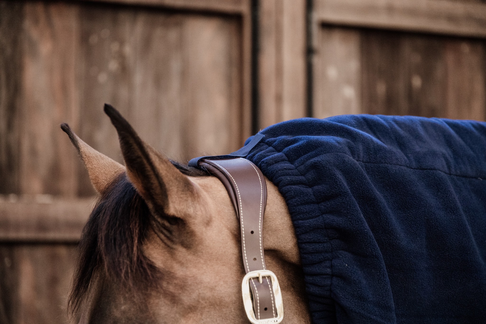 Kentucky Horsewear Heavy Fleece Horse Scarf Navy Kentucky Horsewear Heavy Fleece Horse Scarf Navy