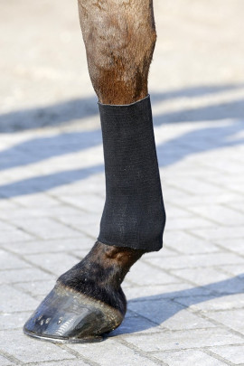 Kentucky Tendon Grip Gel Kous Kentucky Tendon Grip Gel Kous