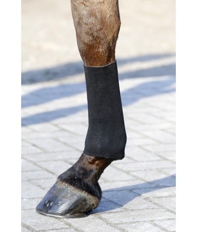 Kentucky Tendon Grip Socks