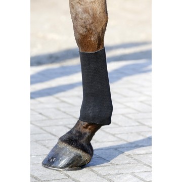 Kentucky Tendon Grip Socks