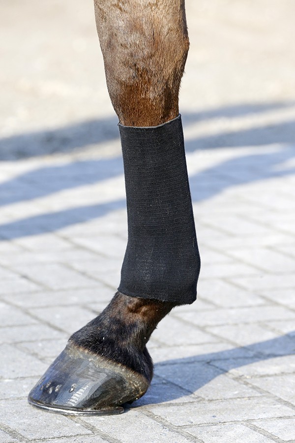 Kentucky Tendon Grip Gel Kous Kentucky Tendon Grip Gel Kous