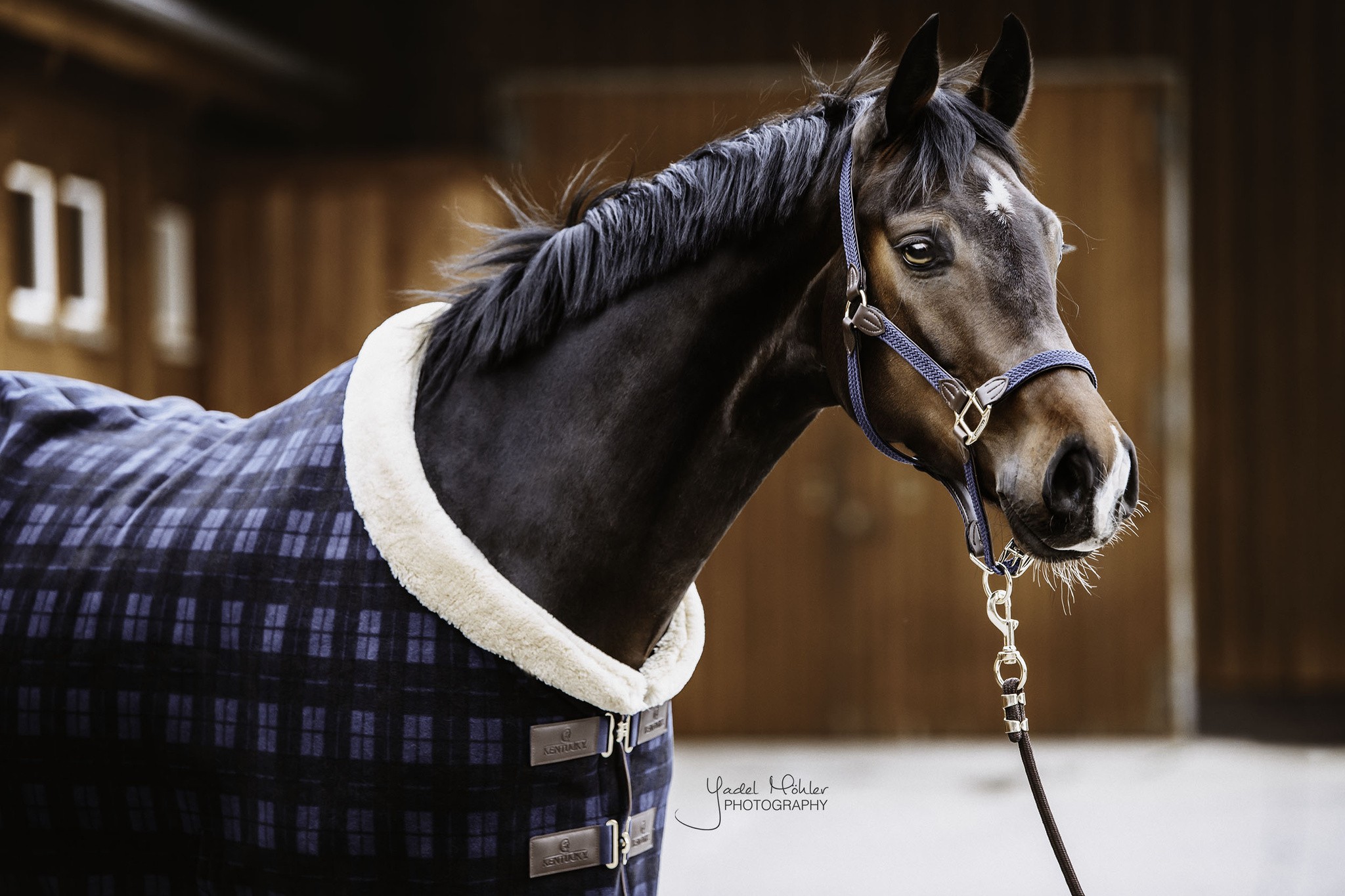 Kentucky Horsewear Fleece Rug Show Heavy Check Printing, ook in meerdere kleuren leverbaar Kentucky Horsewear Fleece Rug Show Heavy Check Printing, ook in meerdere kleuren leverbaar