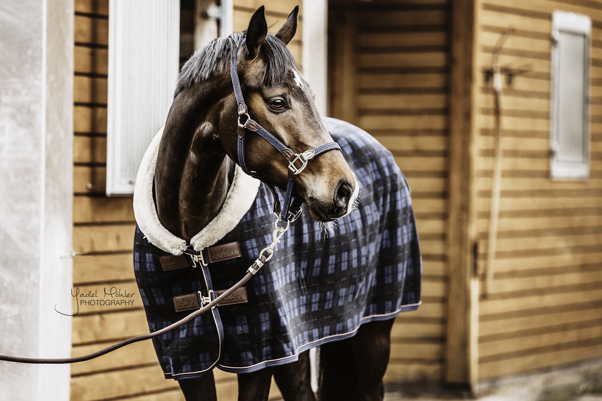 Kentucky Horsewear Fleece Rug Show Heavy Check Printing, ook in meerdere kleuren leverbaar Kentucky Horsewear Fleece Rug Show Heavy Check Printing, ook in meerdere kleuren leverbaar
