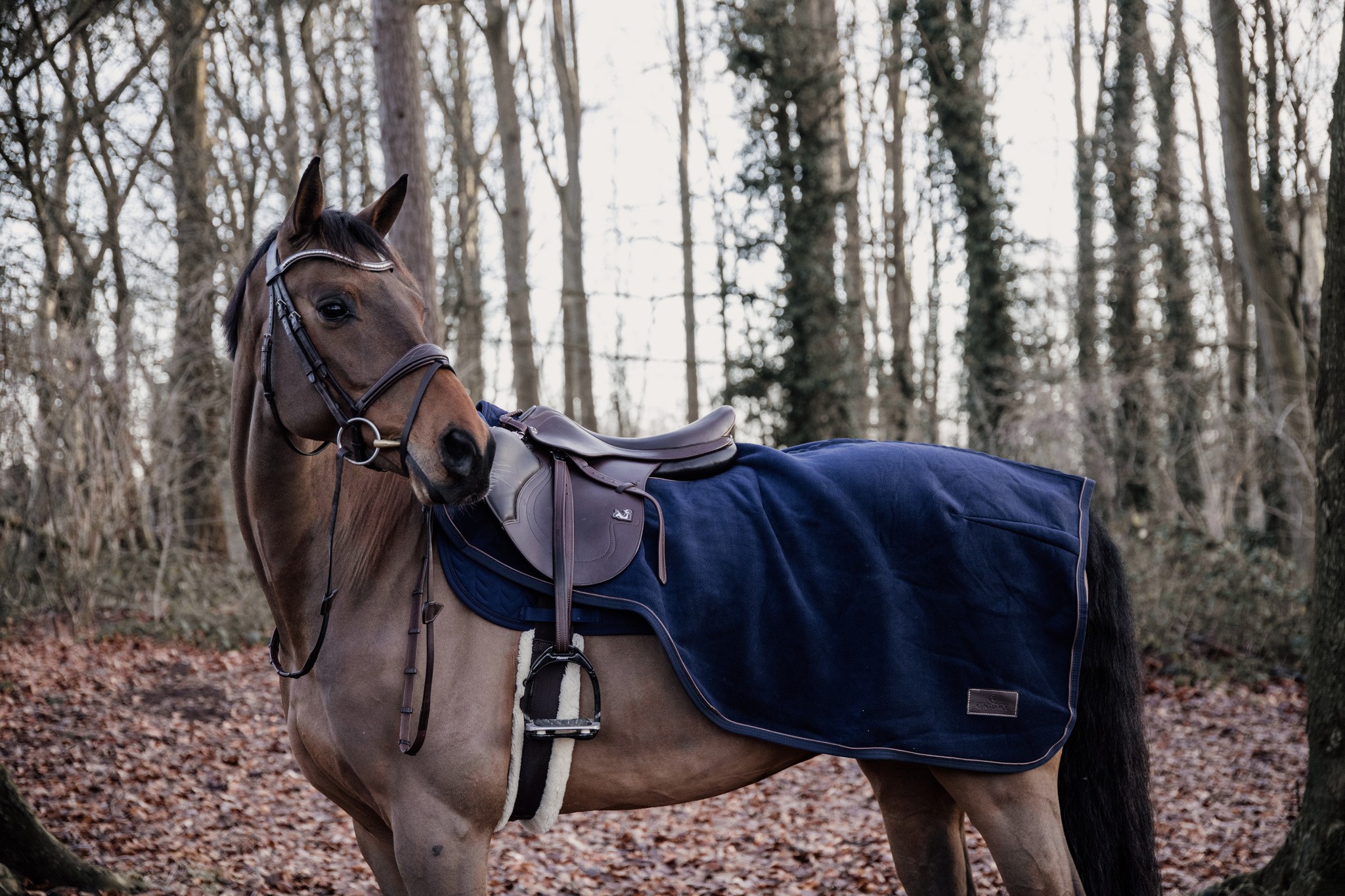 Kentucky Horsewear Riding Rug Heavy Fleece Navy, gemaakt van een kwaliteitsvolle fleece Kentucky Horsewear Riding Rug Heavy Fleece Navy, gemaakt van een kwaliteitsvolle fleece