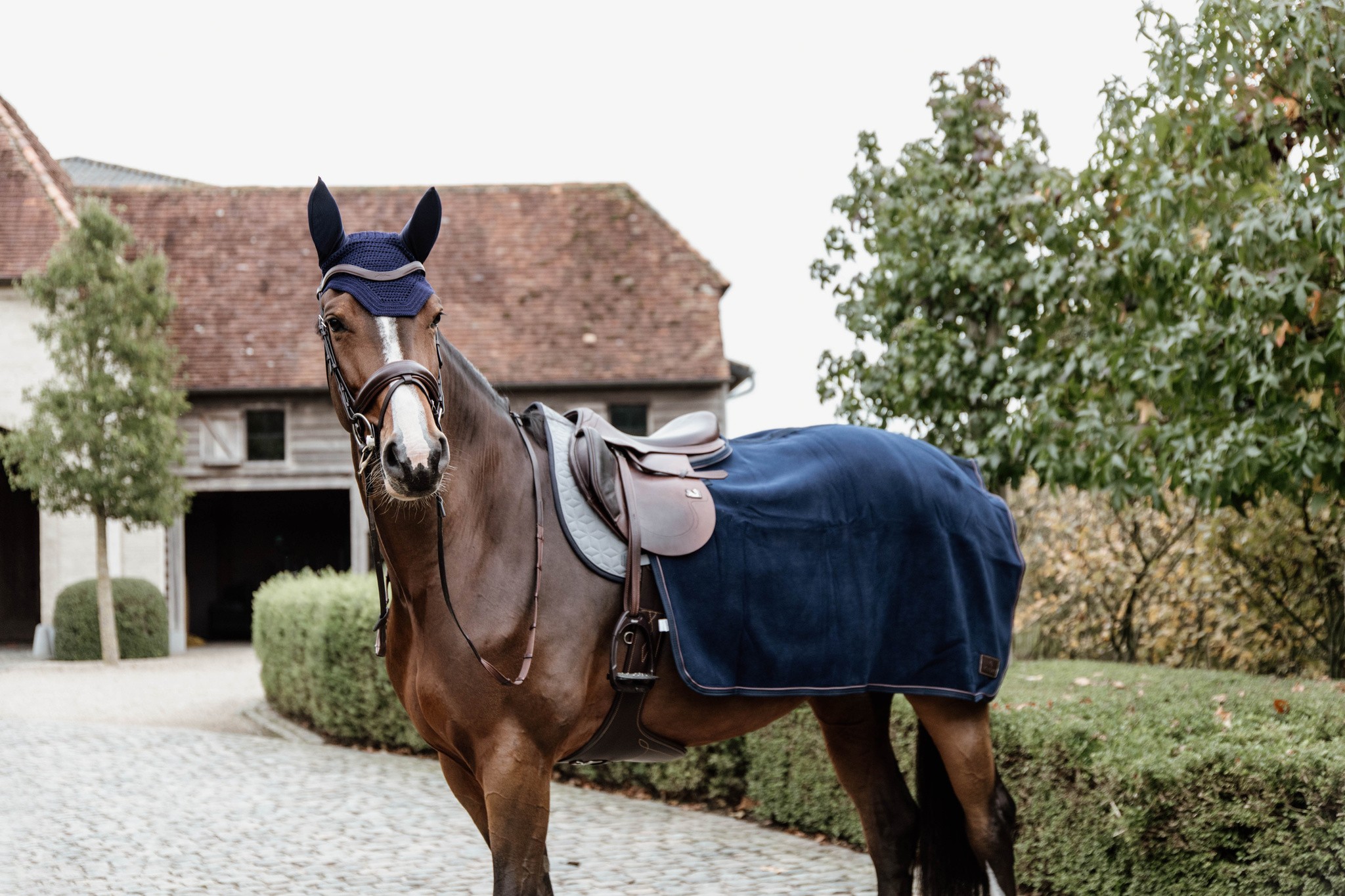 Kentucky Horsewear Quarter Rug Heavy Fleece Navy, de deken is gemaakt van de zelfde fleece stof als de heavy fleece Kentucky Horsewear Quarter Rug Heavy Fleece Navy, de deken is gemaakt van de zelfde fleece stof als de heavy fleece