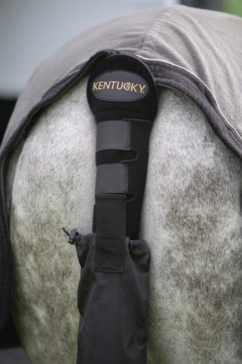 Kentucky Staartbeschermer + Staartzak Kentucky Staartbeschermer + Staartzak