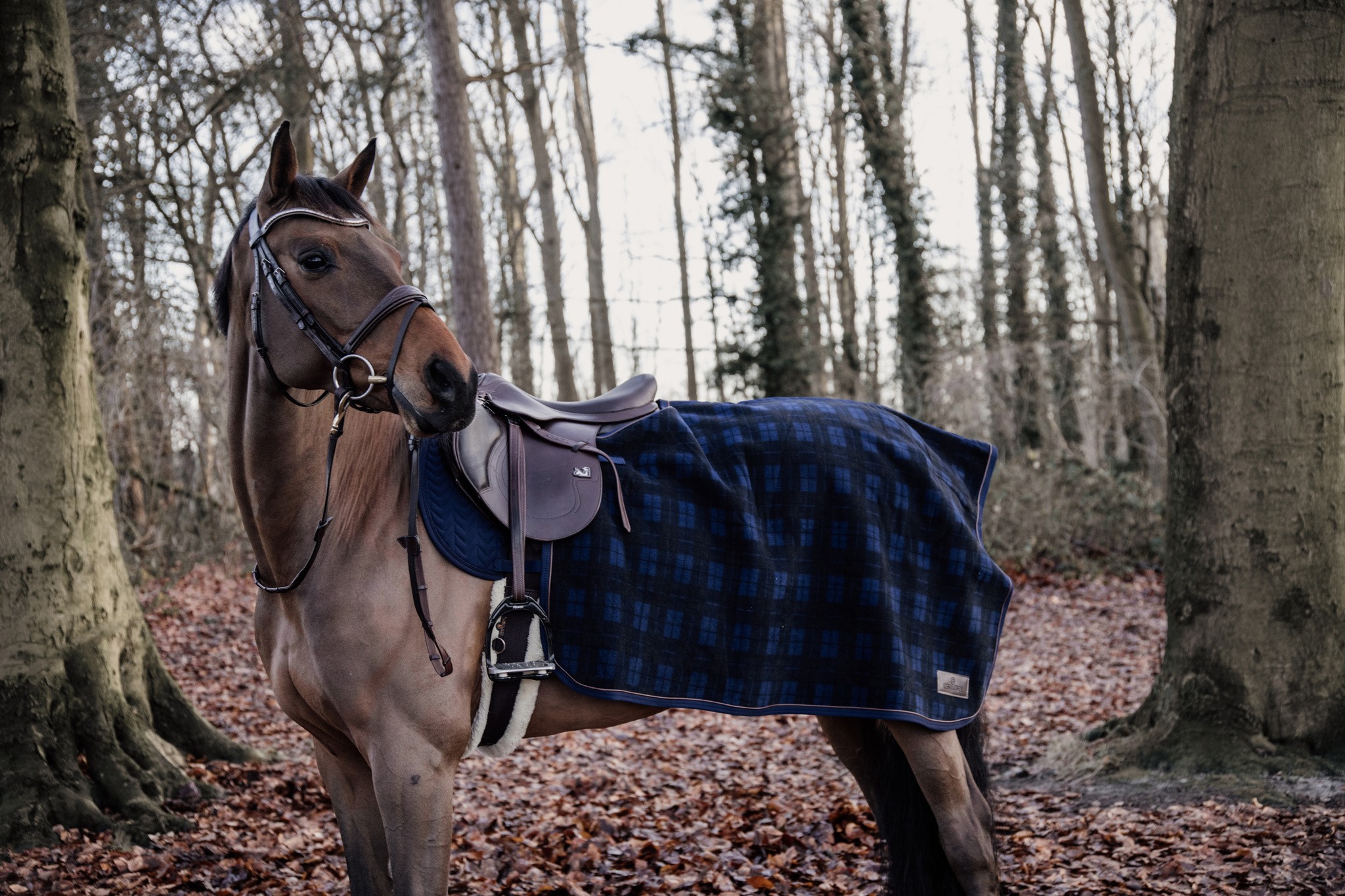 Kentucky Horsewear Quarter Rug Heavy Fleece Check Printing Kentucky Horsewear Quarter Rug Heavy Fleece Check Printing