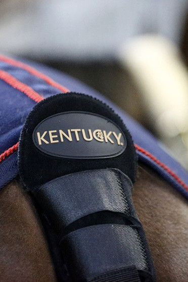 Kentucky Staartbeschermer + Staartzak Kentucky Staartbeschermer + Staartzak