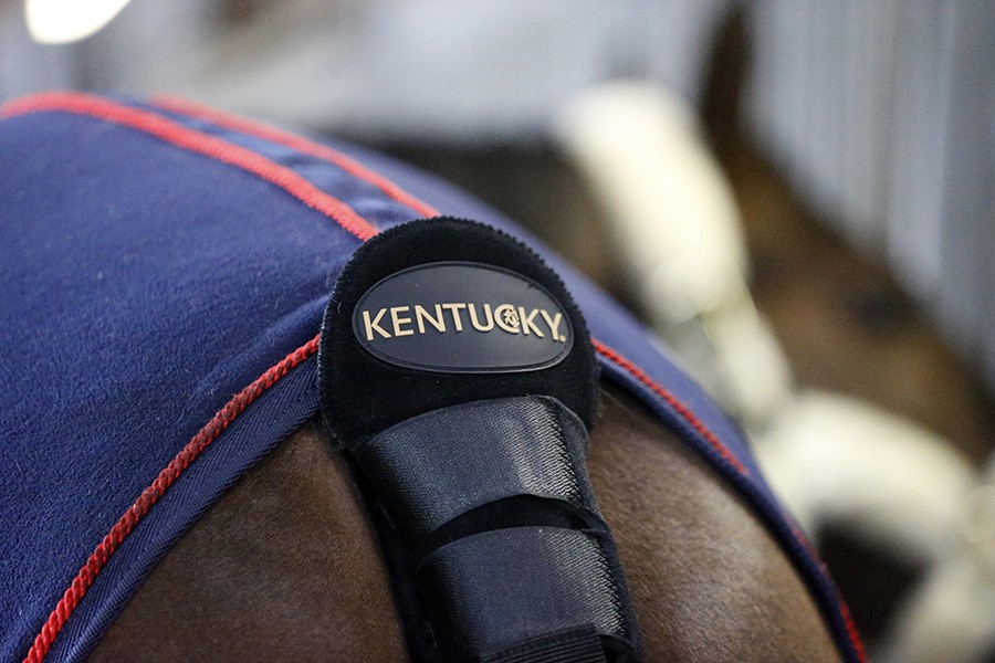 Kentucky Tailguard + Tailbag Kentucky Tailguard + Tailbag