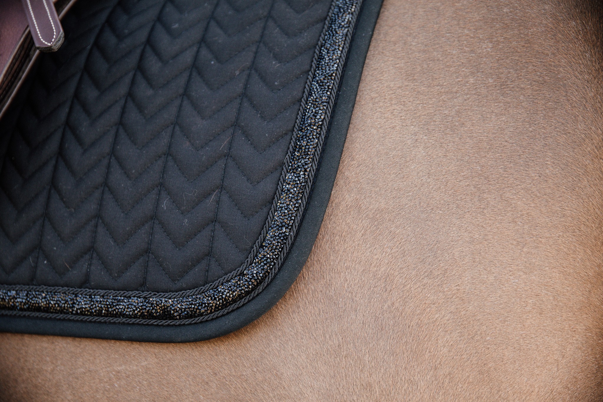 Kentucky Zadeldoek Glitter Stone Dressage in de kleuren blauw en zwart Kentucky Zadeldoek Glitter Stone Dressage in de kleuren blauw en zwart