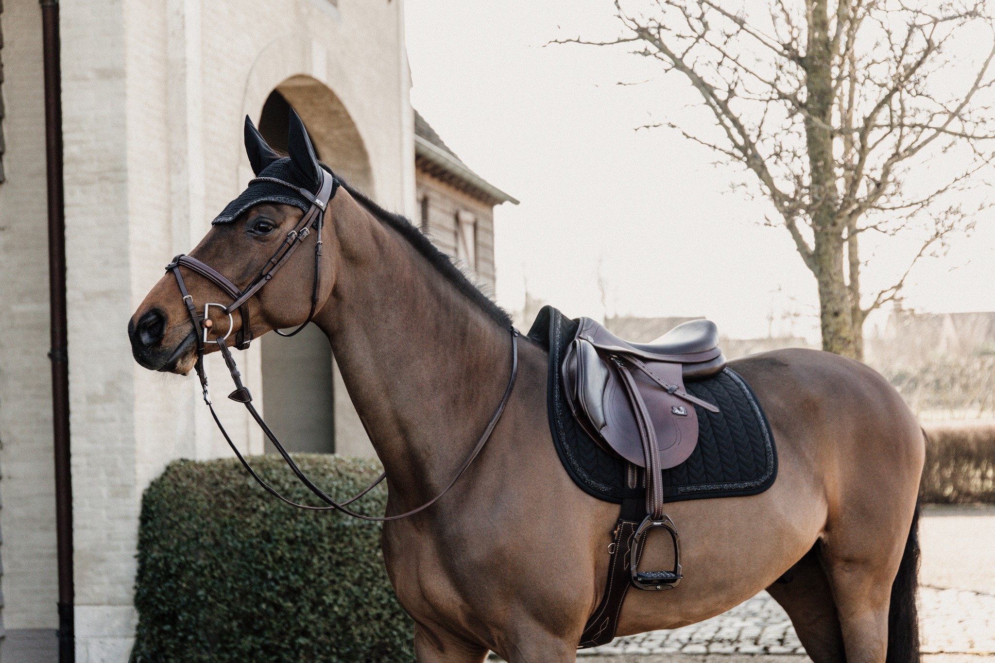 Kentucky Zadeldoek Glitter Stone Dressage in de kleuren blauw en zwart Kentucky Zadeldoek Glitter Stone Dressage in de kleuren blauw en zwart
