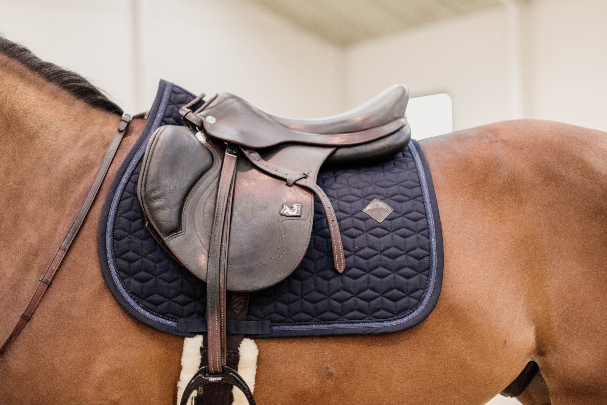 Kentucky Saddlepad Glitter Rope Jumping Kentucky Saddlepad Glitter Rope Jumping