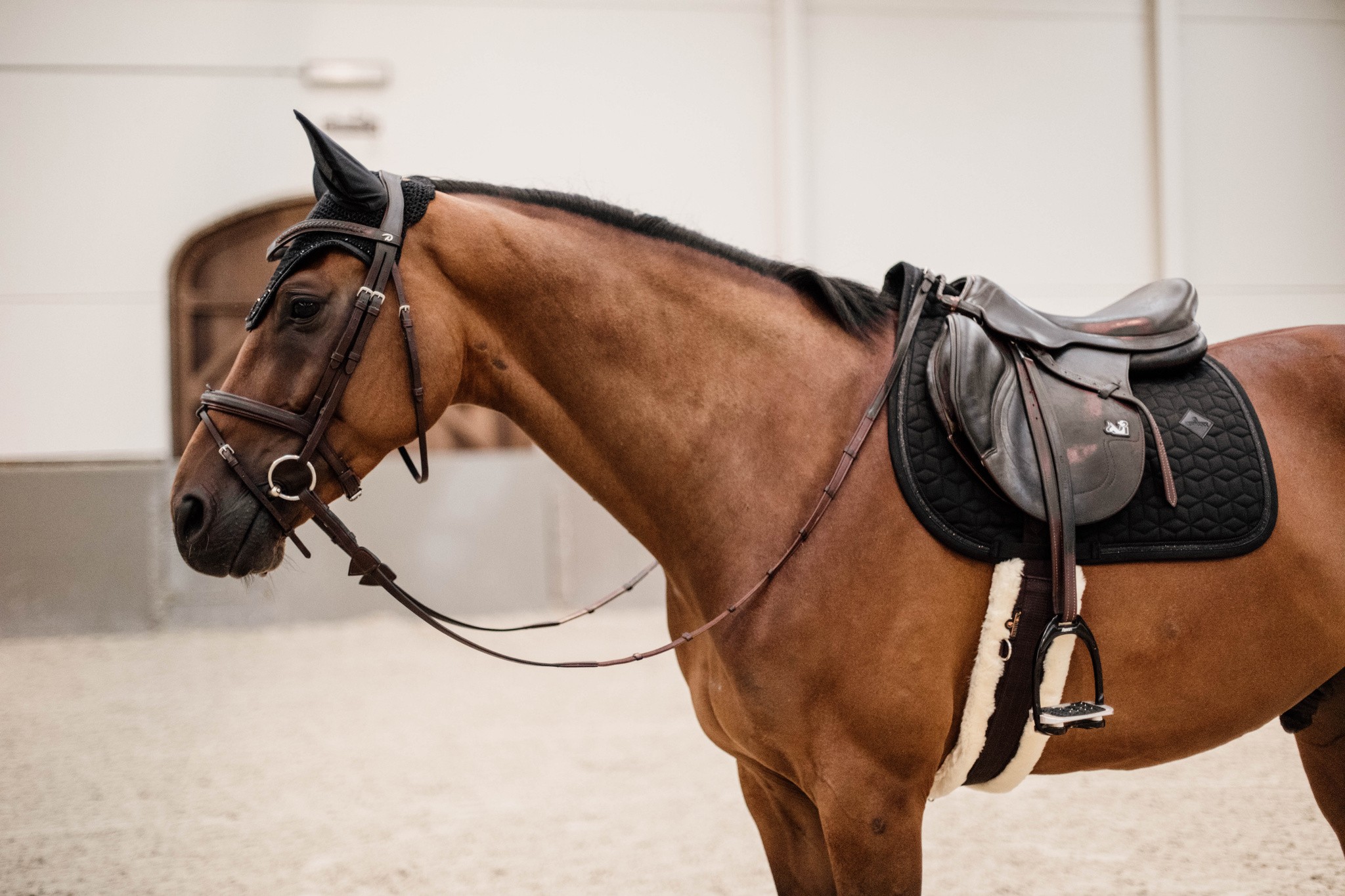 Kentucky Saddlepad Glitter Rope Jumping Kentucky Saddlepad Glitter Rope Jumping
