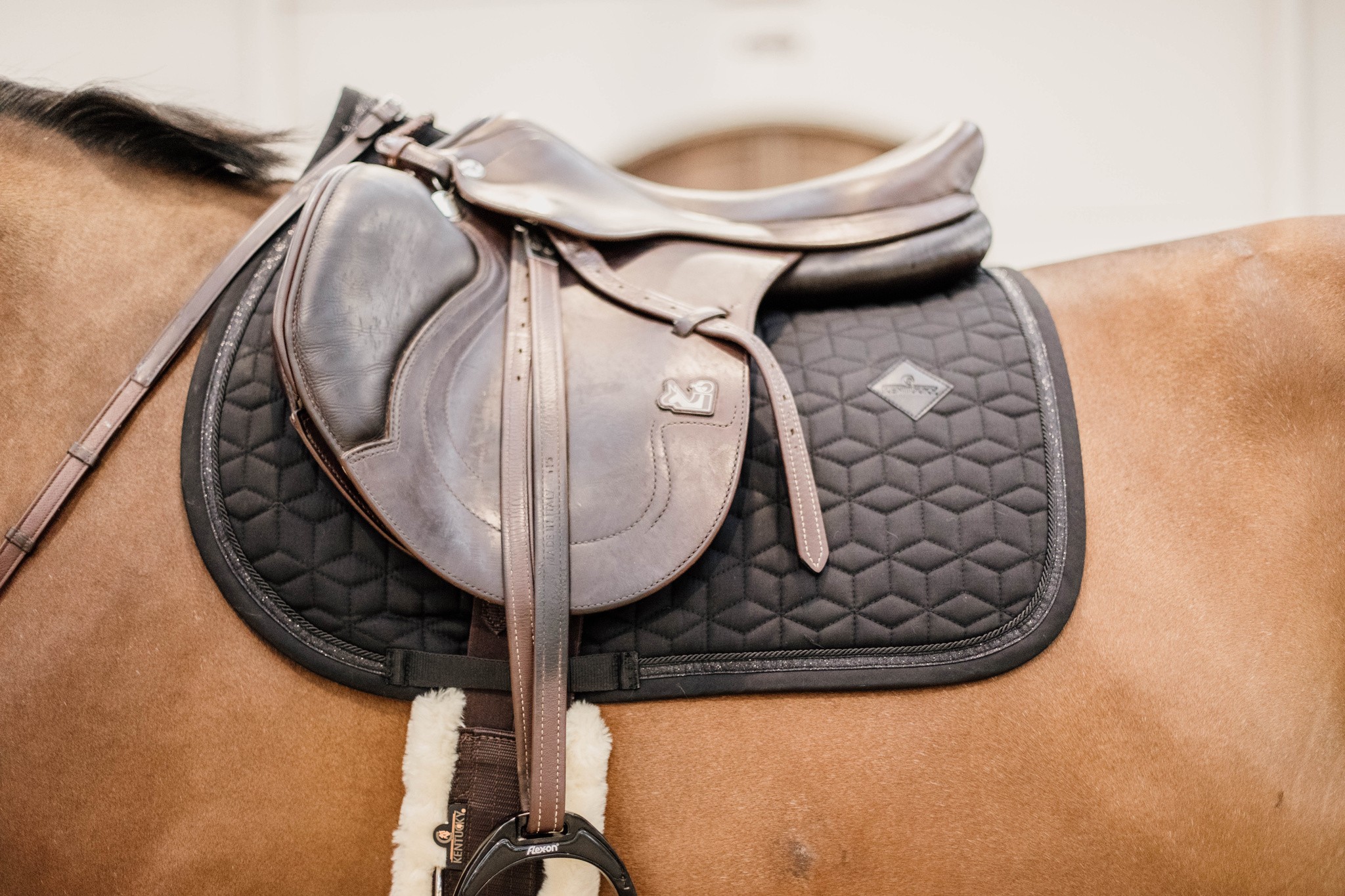 Kentucky Saddlepad Glitter Rope Jumping Kentucky Saddlepad Glitter Rope Jumping