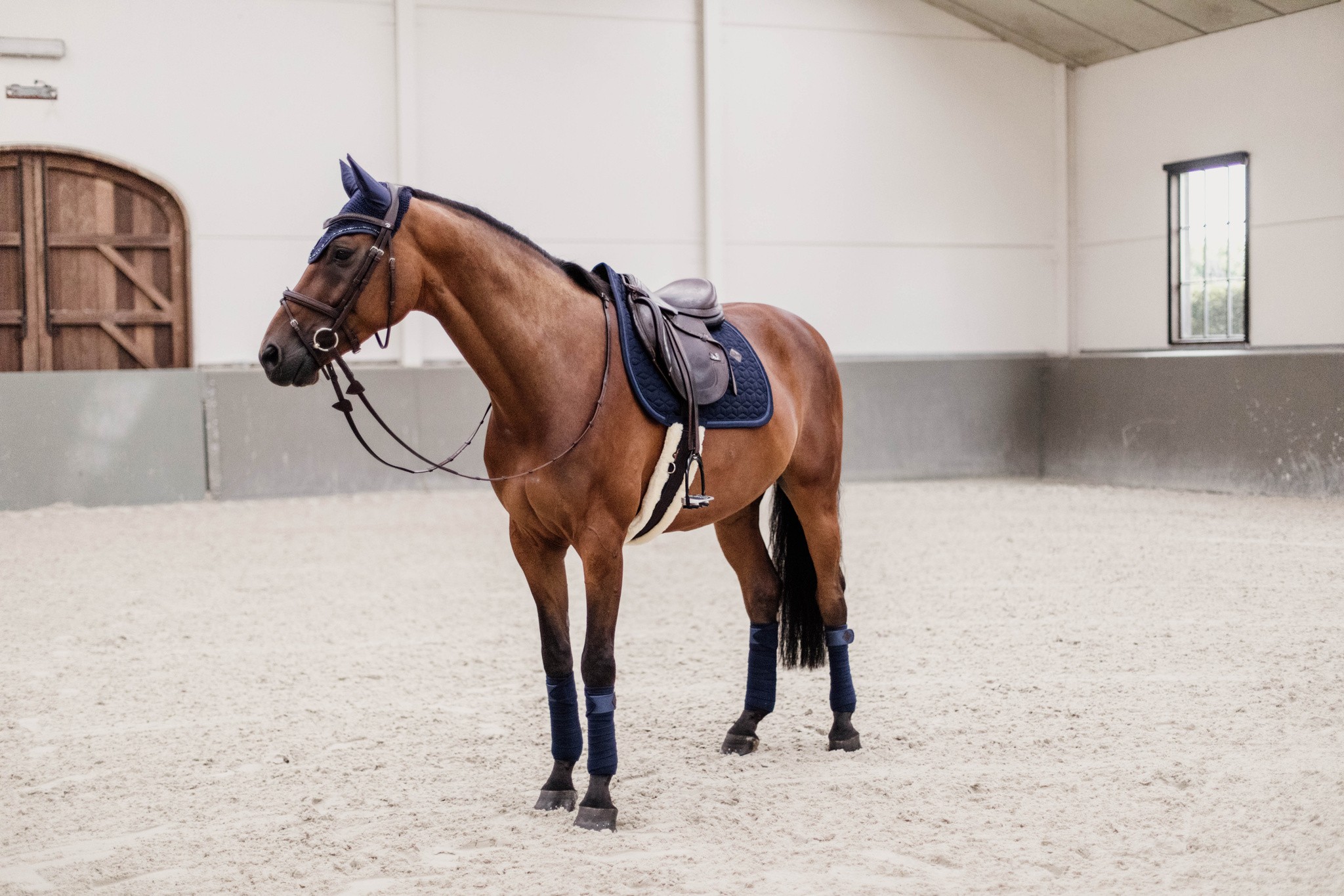 Kentucky Saddlepad Glitter Rope Jumping Kentucky Saddlepad Glitter Rope Jumping