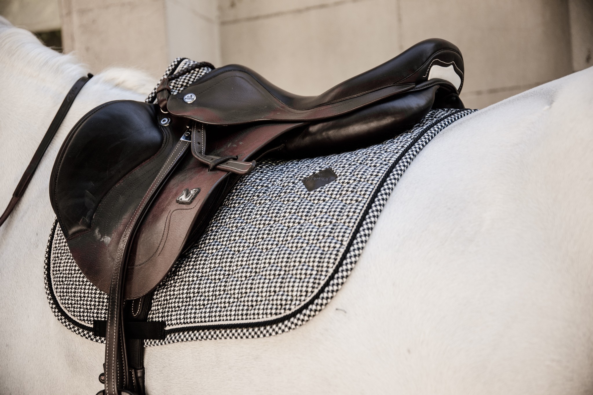 Kentucky Horsewear Saddle Pad Pied de Poule Jumping Kentucky Horsewear Saddle Pad Pied de Poule Jumping