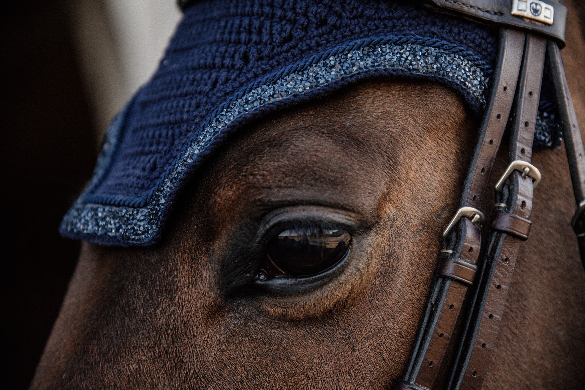 Kentucky Horsewear Fly Veil Wellington Glitter Stone Kentucky Horsewear Fly Veil Wellington Glitter Stone