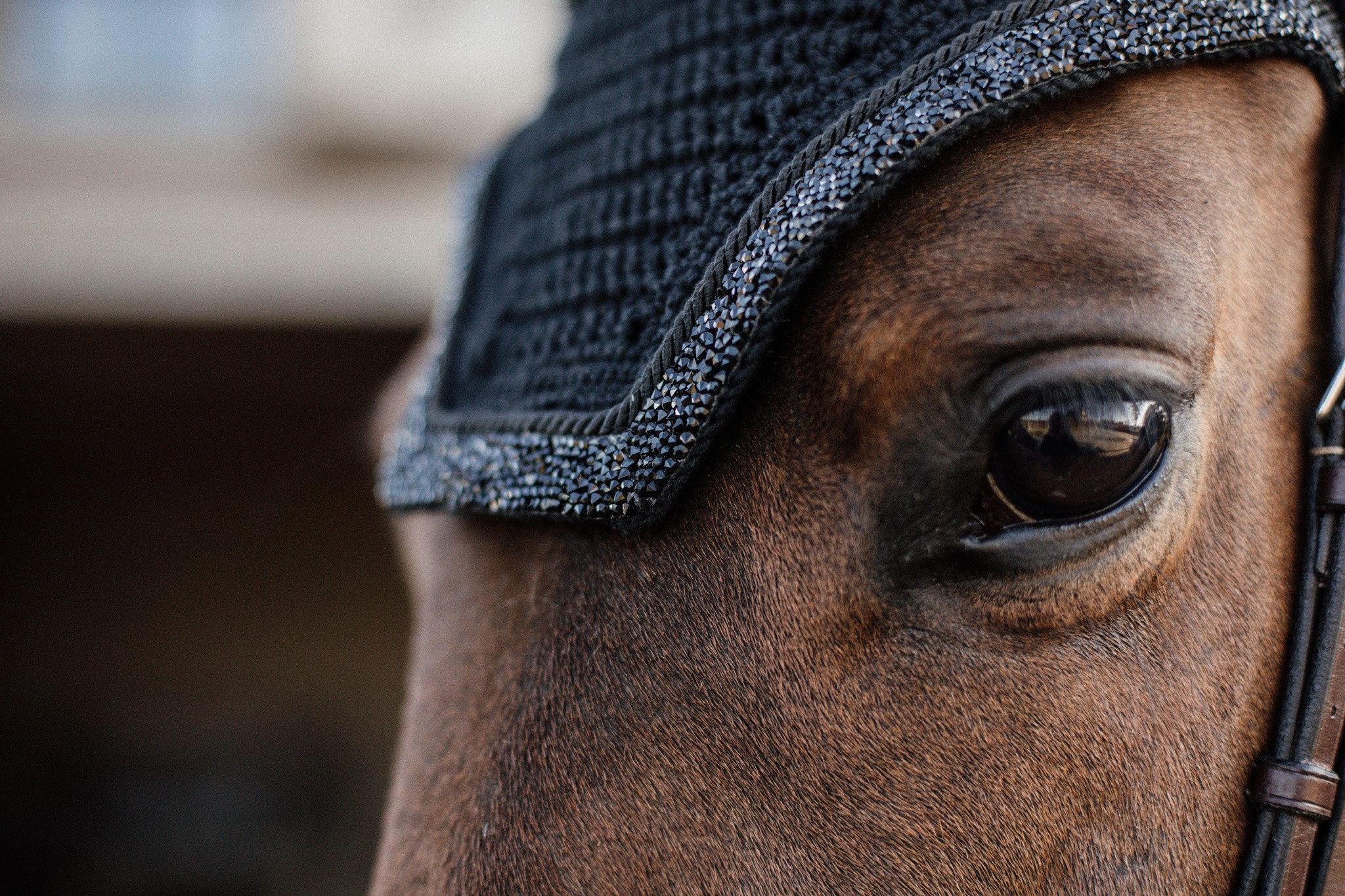 Kentucky Horsewear Fly Veil Wellington Glitter Stone Kentucky Horsewear Fly Veil Wellington Glitter Stone