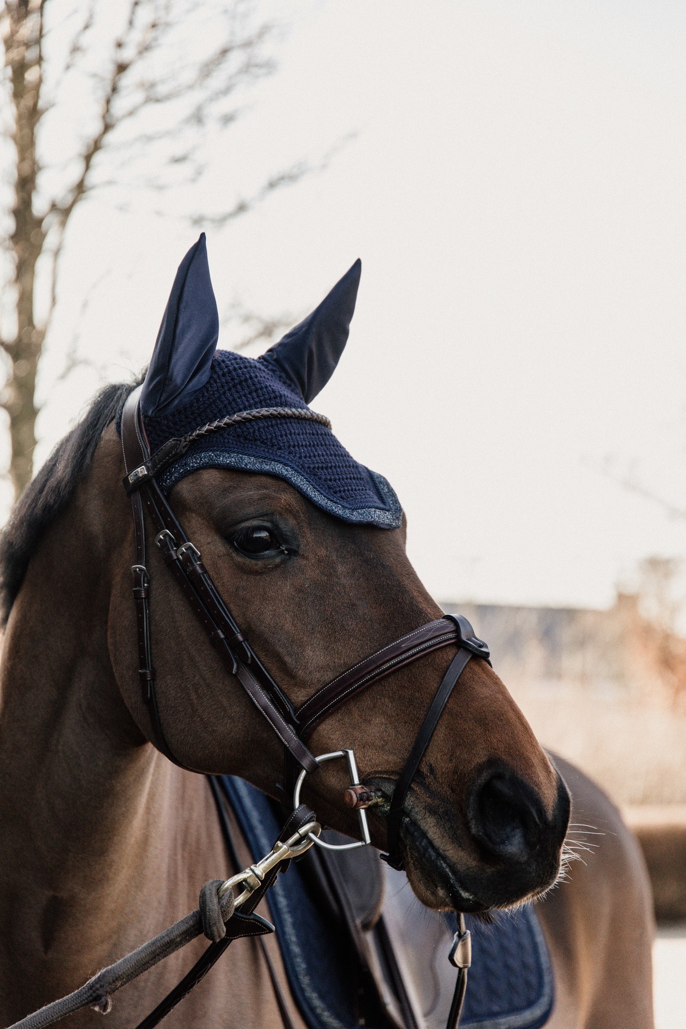 Kentucky Horsewear Fly Veil Wellington Glitter Stone Soundless Kentucky Horsewear Fly Veil Wellington Glitter Stone Soundless