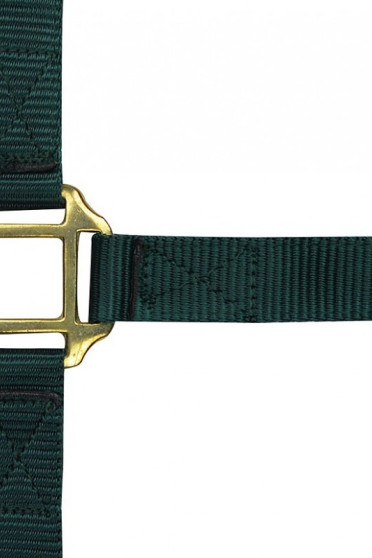 Norton Leather Lined Nylon Headcollar Dark Green