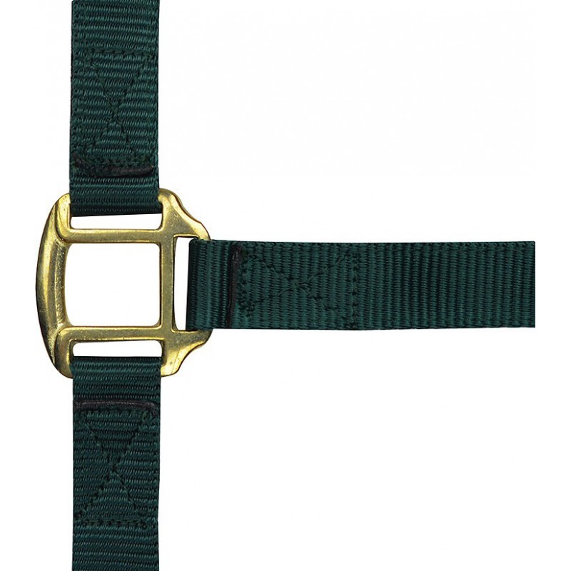 Norton Nylon Halster Met Leder Gevoerd