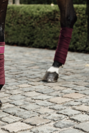 Kentucky Horsewear Polar Fleece Bandages Bordeaux Kentucky Horsewear Polar Fleece Bandages Bordeaux