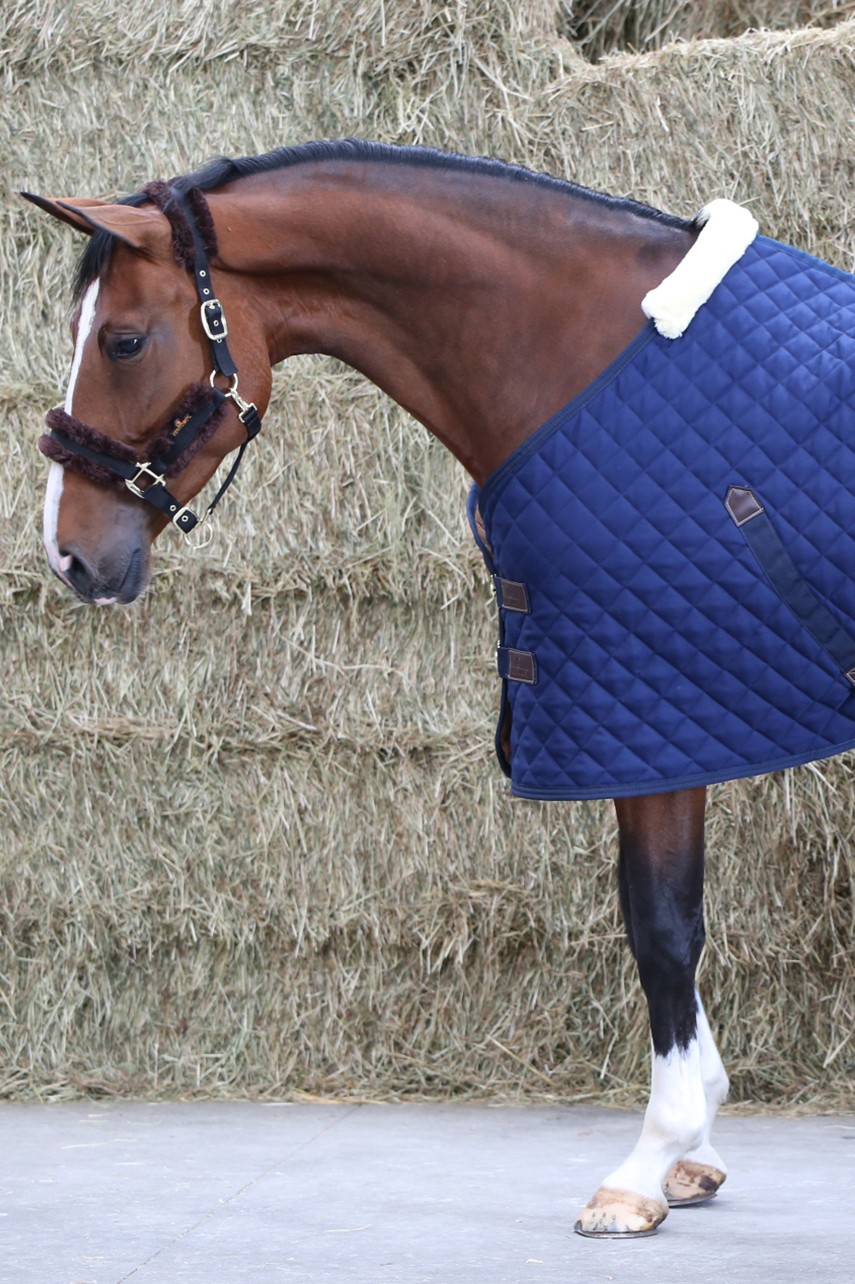 Kentucky Horsewear Stable Rug Kentucky Horsewear Stable Rug