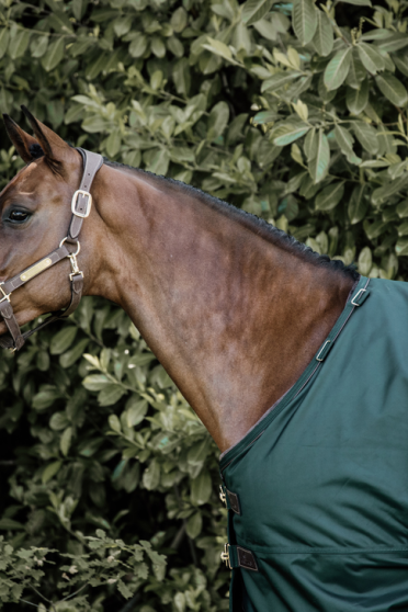 Kentucky Horsewear Turnout Rug All Weather 160 GR Dark Green Kentucky Horsewear Turnout Rug All Weather 160 GR Dark Green
