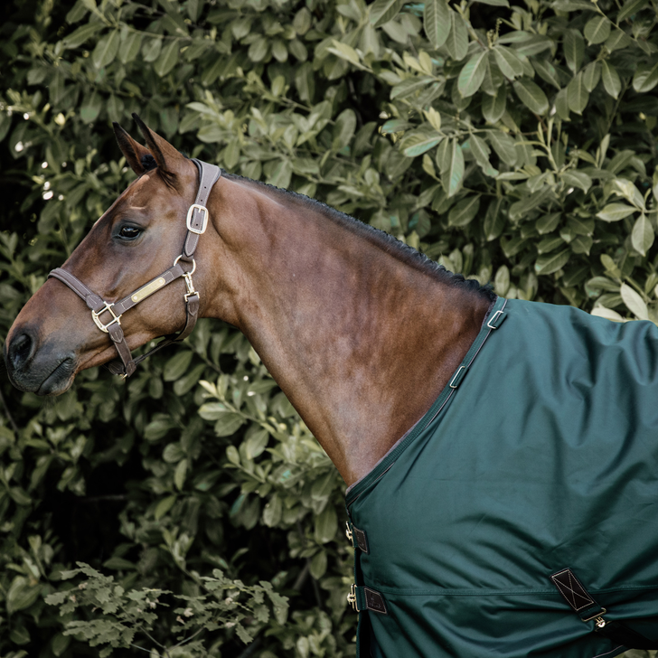 Kentucky Horsewear Turnout Rug All Weather 160 GR Dark Green Kentucky Horsewear Turnout Rug All Weather 160 GR Dark Green