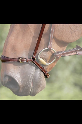 Dyon Drop Noseband 'Dyon Collection'
