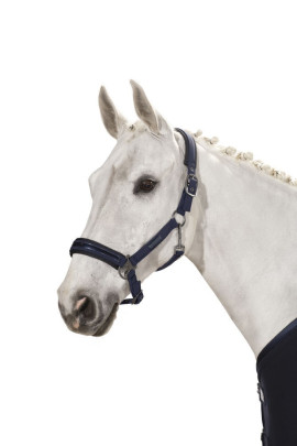 Eskadron Headcollar Doublepin Softshell Classic Sports Navy