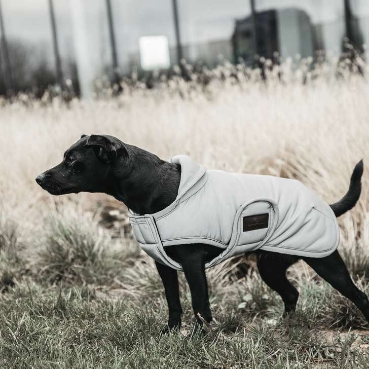 Kentucky Dogwear Dog Coat Reflective & Water Repellent Belly Cover Kentucky Dogwear Dog Coat Reflective & Water Repellent Belly Cover