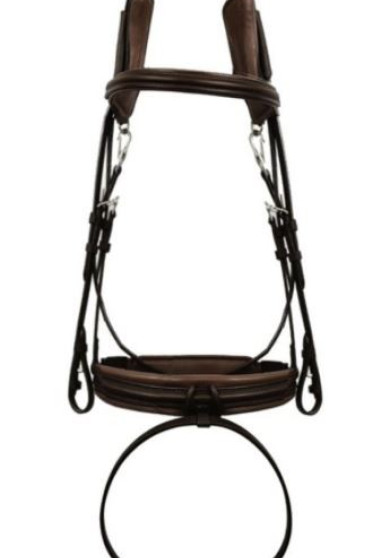 Silver Crown Bridle Code 01 A Nut