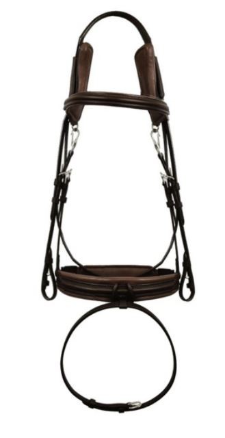 Silver Crown Bridle Code 01 A Nut