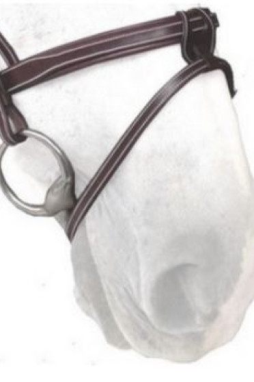 Silver Crown Noseband Flash A Nut