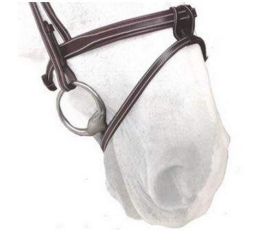 Silver Crown Noseband Flash A Nut