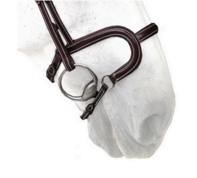 Silver Crown Noseband Flash H Classique A Nut