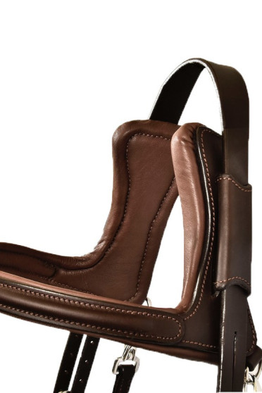 Silver Crown Bridle Code 01 A Nut