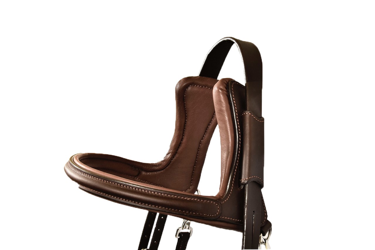 Silver Crown Bridle Code 01 A Nut