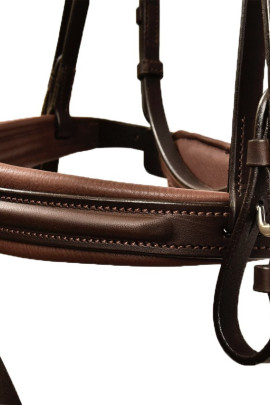 Silver Crown Bridle Code 01 A Nut