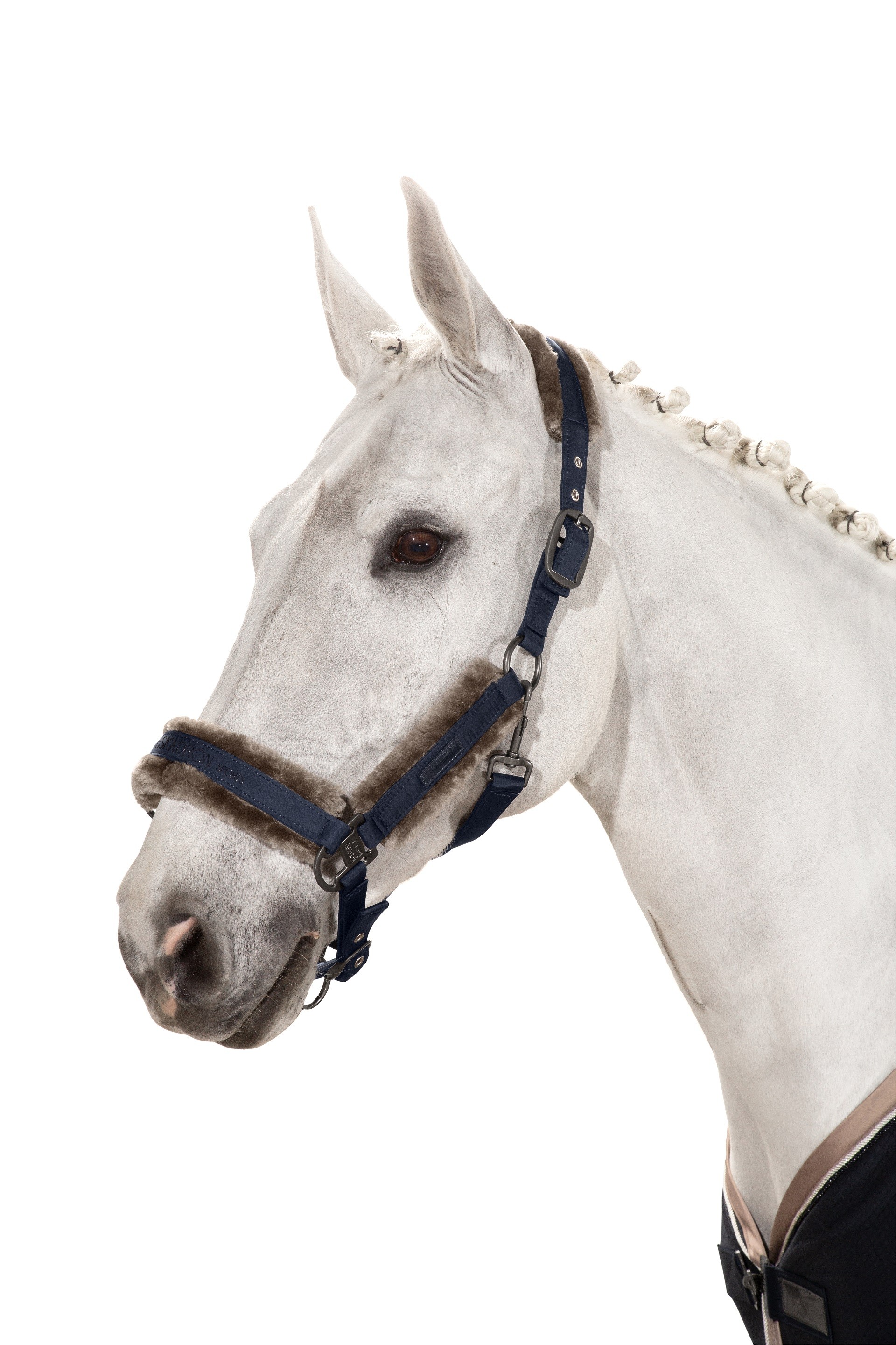 Eskadron Headcollar Doublepin Glossy Fauxfur Classic Sports Navy